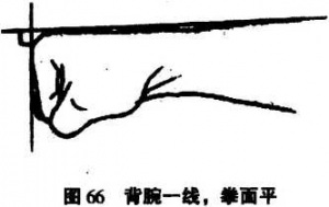 图片39
