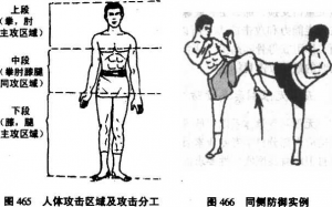 图片79