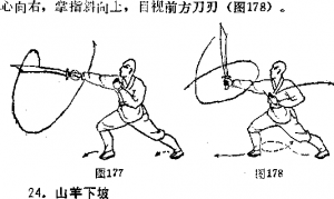 图片96