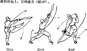 图片100