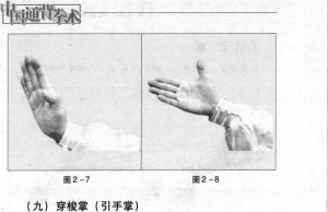图片3
