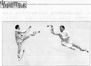 图片33