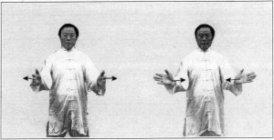 图片40