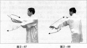 图片48