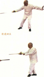 图片19
