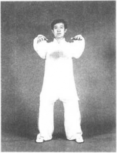 图片23