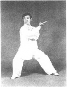 图片33