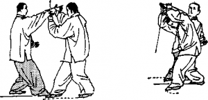 图片101
