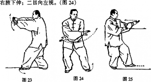 图片114