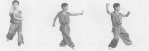 图片24
