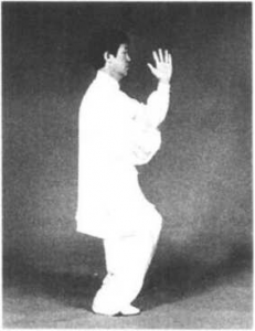 图片28