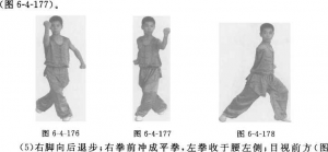 图片66
