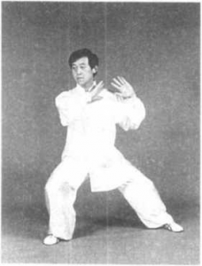 图片95