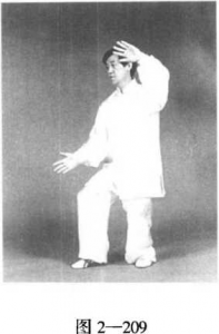 图片100