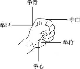 图片9