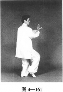 图片14