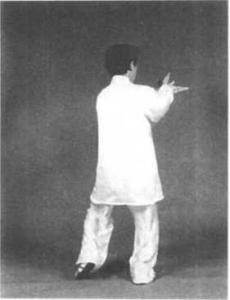 图片24