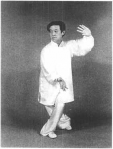 图片246