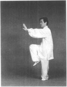 图片250