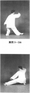 图片49