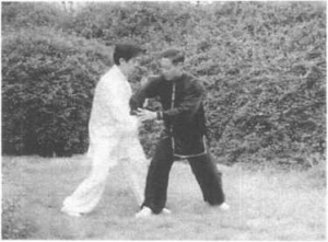 图片134