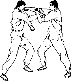 图片24