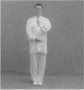 图片20