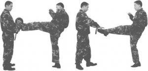 图片9