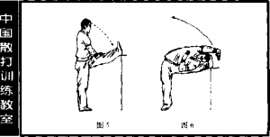 图片6