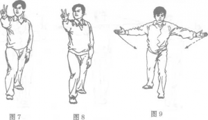 图片29