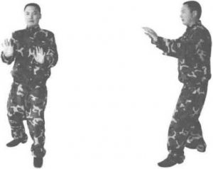 图片2