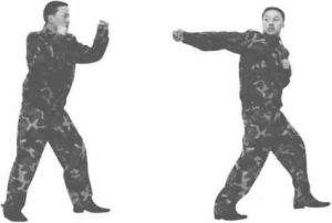 图片13