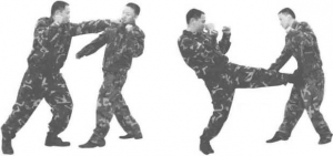 图片73