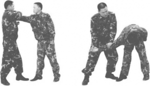 图片79