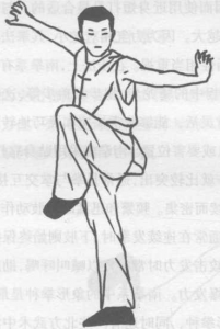 图片12