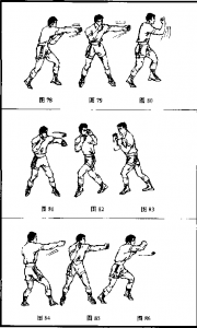 图片15