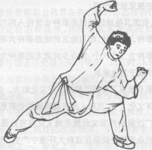 图片15