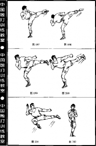 图片41
