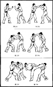 图片47