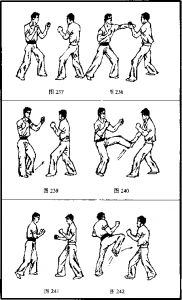 图片48