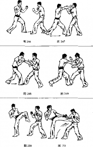 图片50