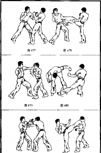 图片16