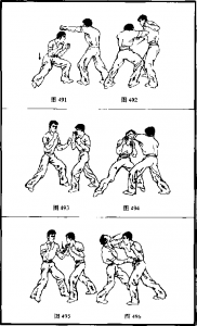图片19