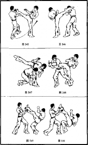 图片29