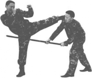 图片31