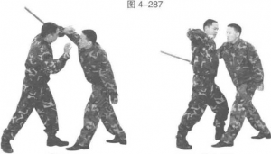 图片33