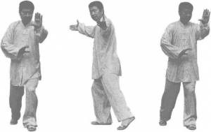 图片25