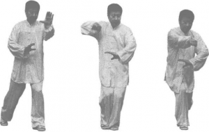 图片31