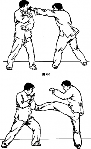 图片12