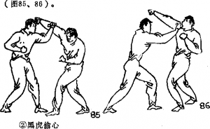 图片30